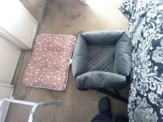 Dog Beds