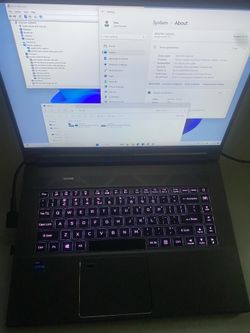 Acer Predator Gaming Laptop- i7-11th Gen  - RTX 3060 6G - 32G Ram - 165Hz LCD - 1.5TB SSD - Win 11