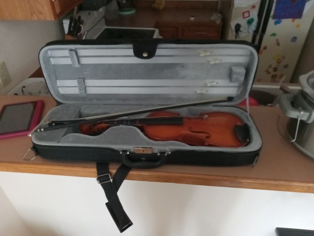 Violin