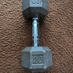 Only one dumbbell 20 lb