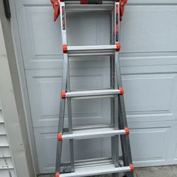 Extendable Ladder