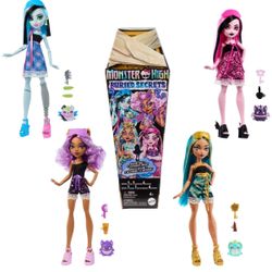 Monster High Buried secrets Draculaura Doll🩷🖤