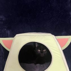 Star Wars The Child Pet  Bed