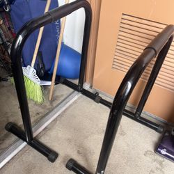 Fitness Dip Bars