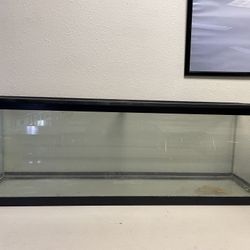 40 Gallon Terrarium 