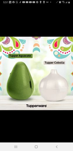 Tupperware cebolla, ajo, avocado, chile