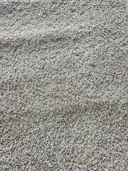 Light Gray Carpet 550 Sq Ft