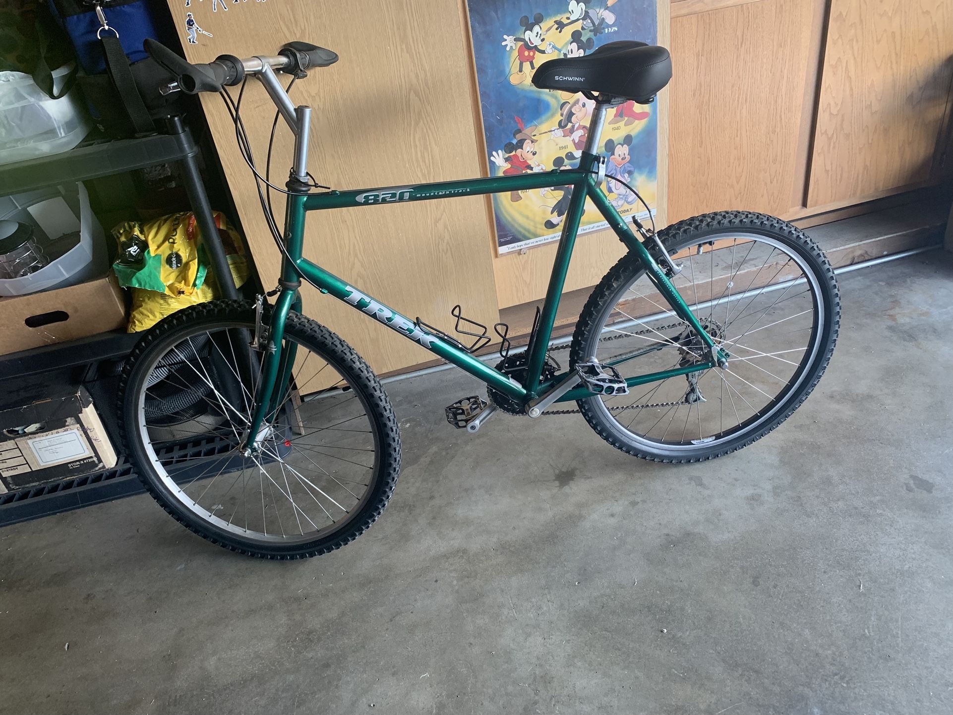 Trek Mountain Bike