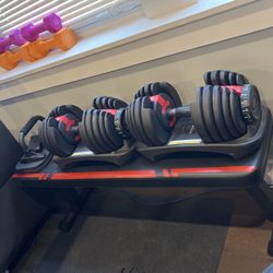 Boflex Dumbells & Folding Bench 