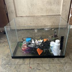 Fish Tank 