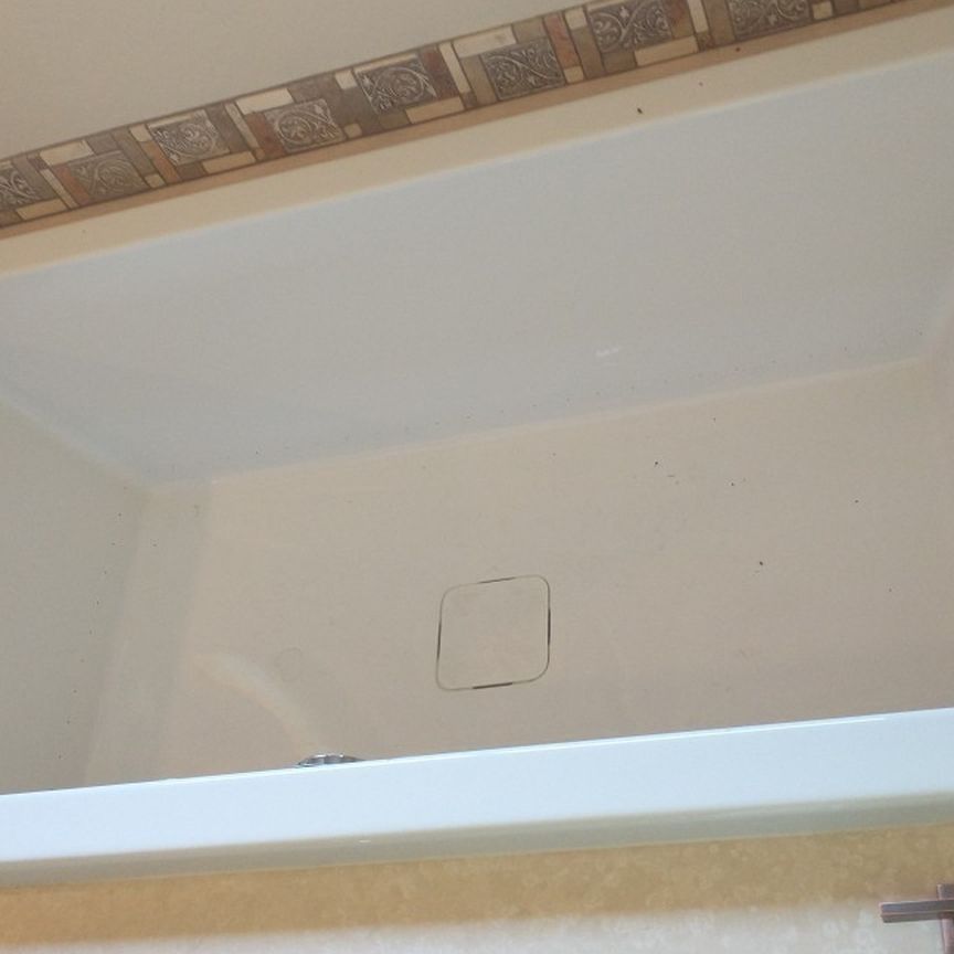 Whirlpool Jacuzzi Hydro Systems Jet Tub