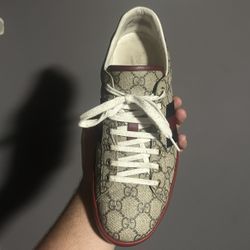 Gucci Shoes 