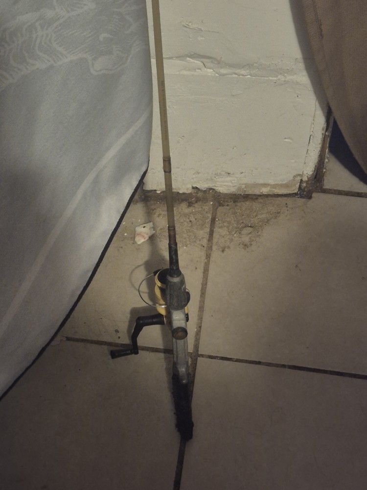 Fishing Pole