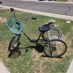 Sun Bicycles Traditional 24 Tricycle w/ Basket