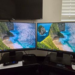 ASUS Computer Monitors 