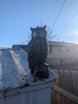 Solar Powered Light Up Owl, The Eyes Light Up.
