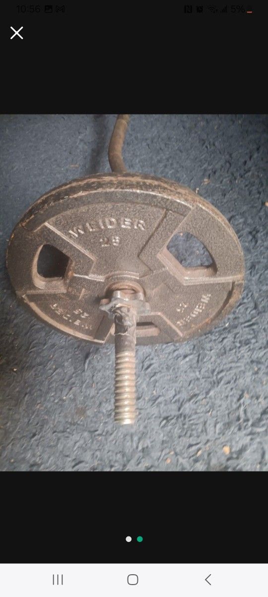 Curl Bar