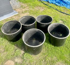 Plastic Plant Containers 