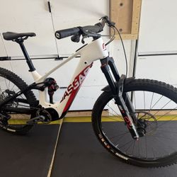 Gas Gas MXC 5 Carbon Fiber Electric Mountain Bike