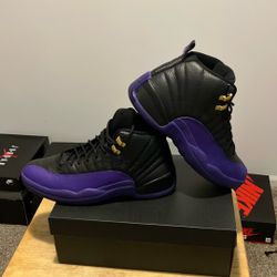 DS Jordan 12 Retro Field Purple
