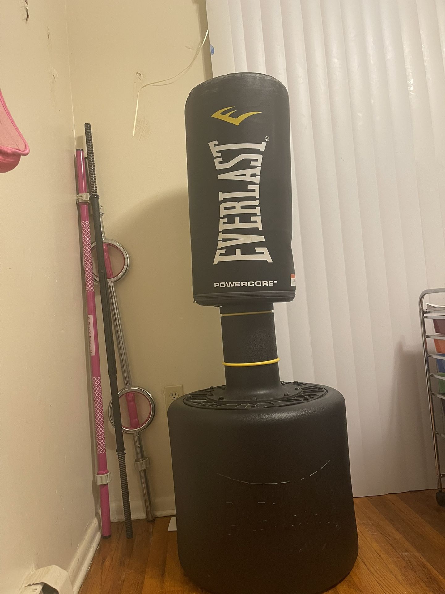 Stand Up Punching Bag 
