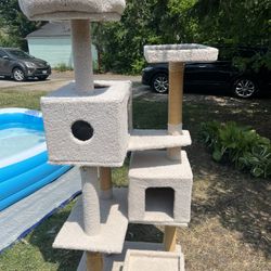 Cat Cando (can Be Taken Apart) 