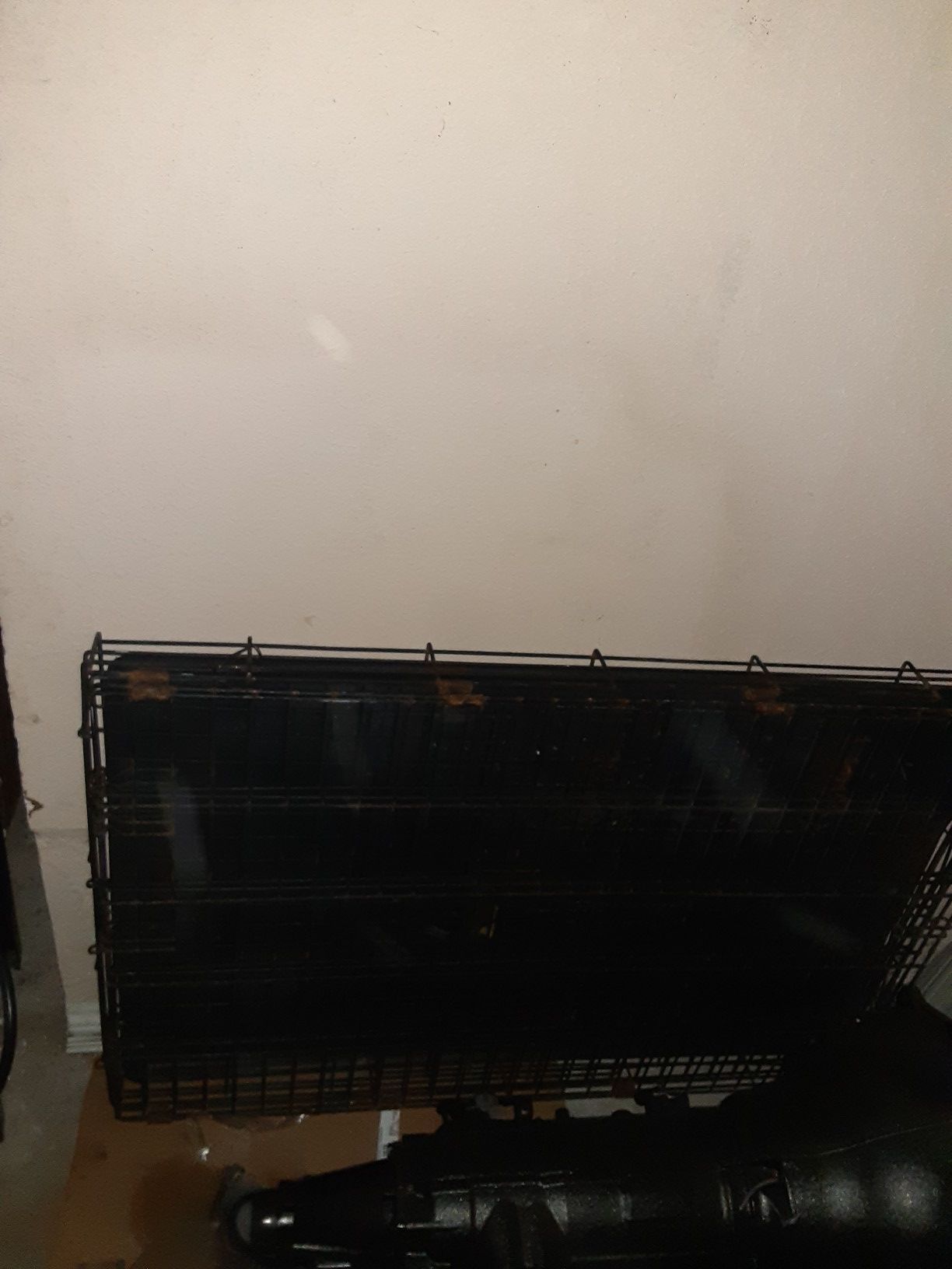 Large dog kennel