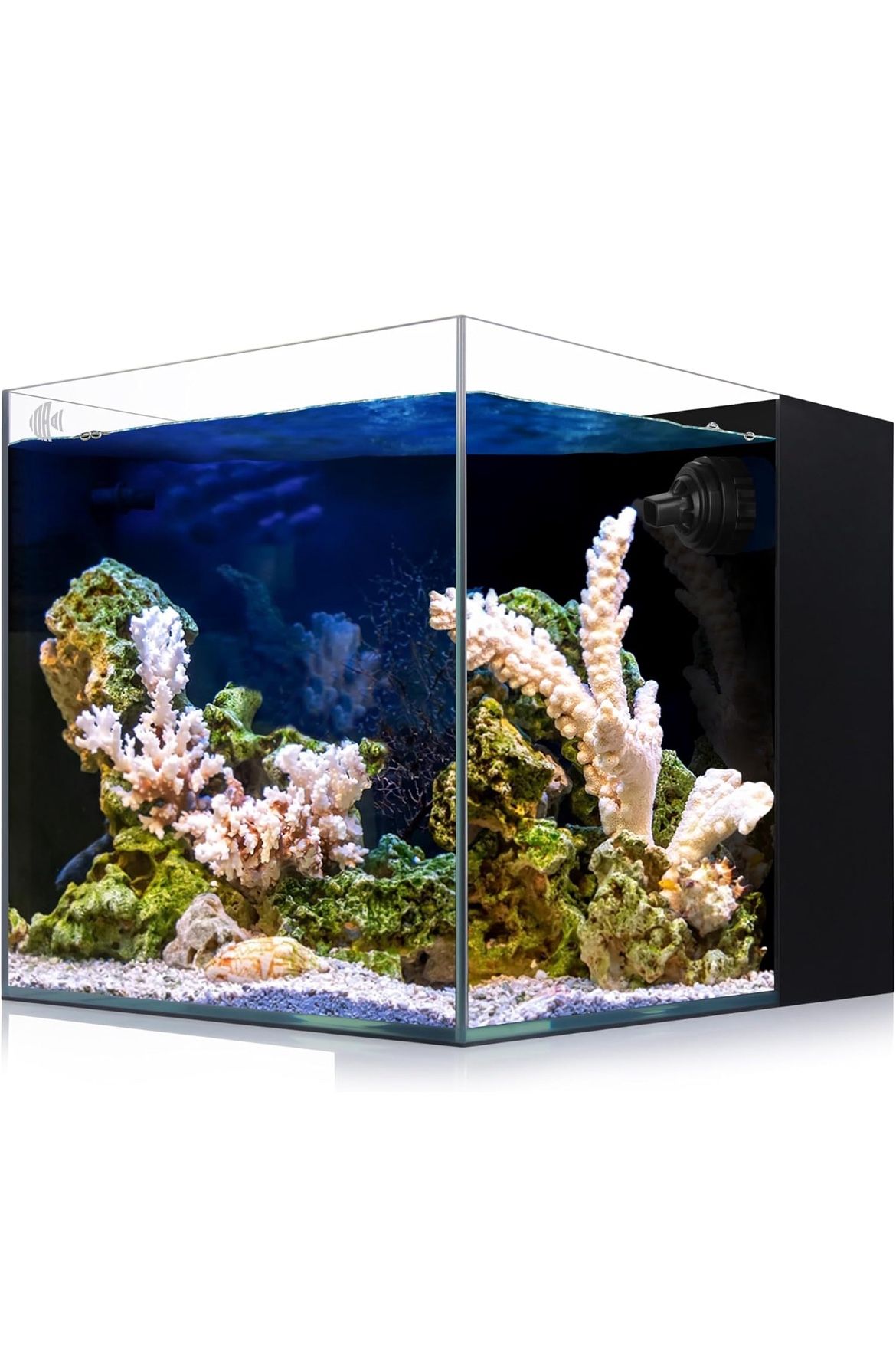 Coralland 8-Gallon Saltwater Aquarium