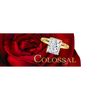 Colossal Chic