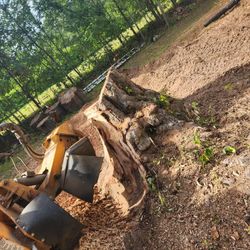 Land Stump Grinder 