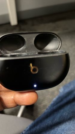 Beats Earbuds Case