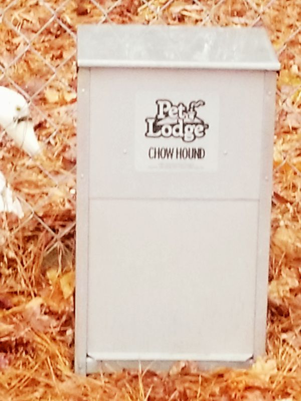 Marked Down Pet Lodge Chow Hound Galvanized Dog Feeder For Sale