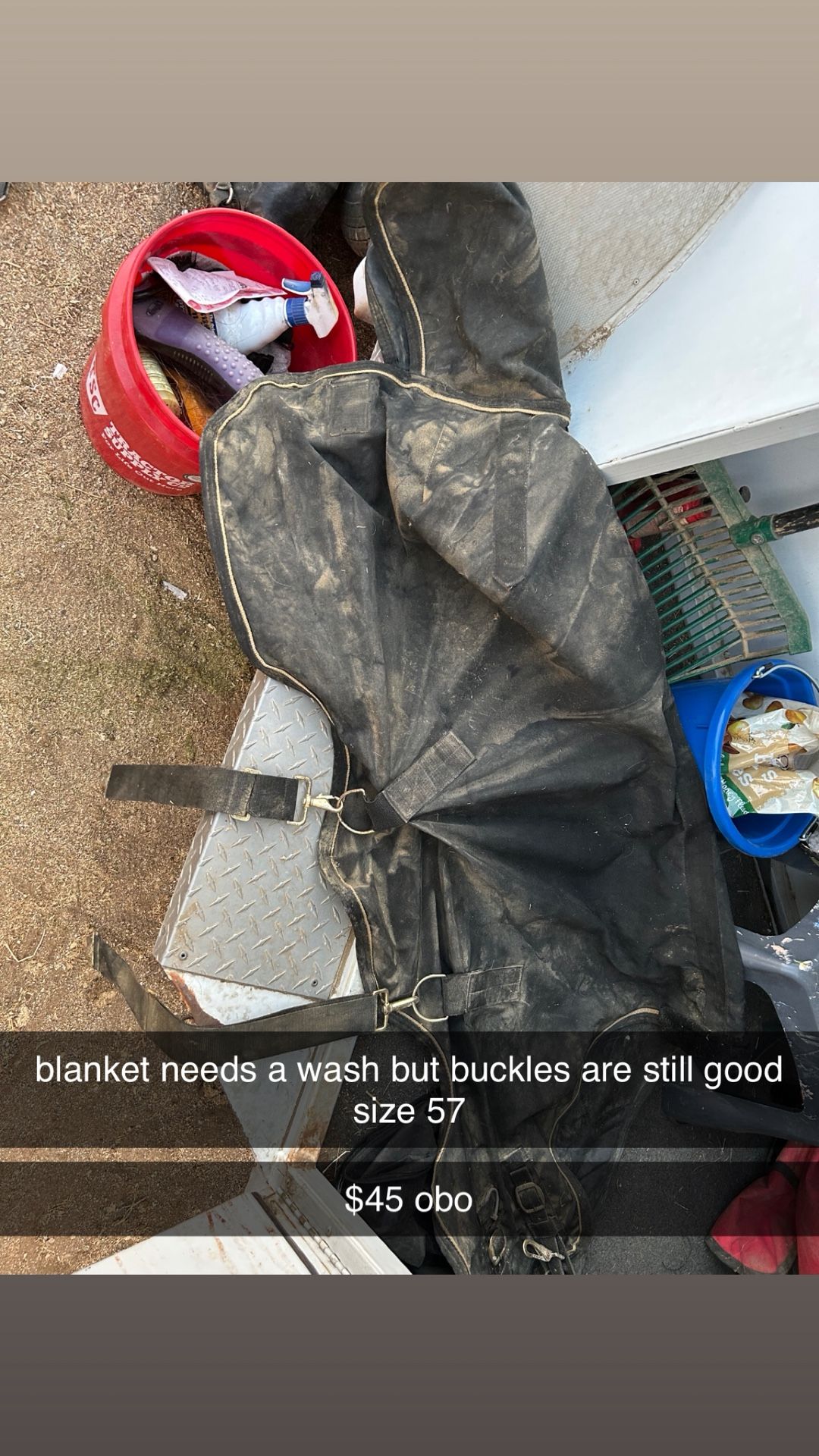 horse blankets 