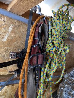Tree Climbing Gear