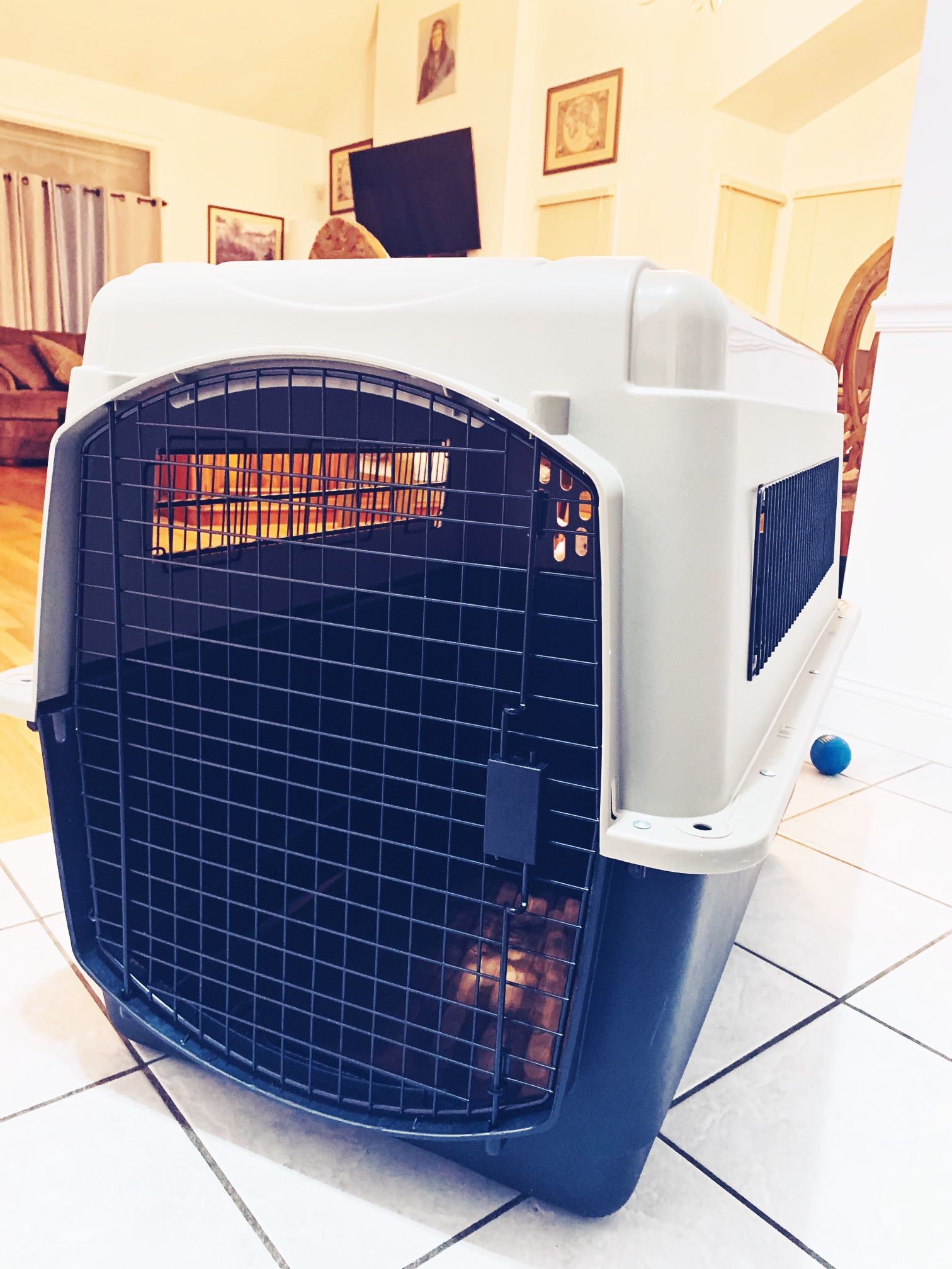 Dog Crate Kennel - Travel Approved - Abalone Free