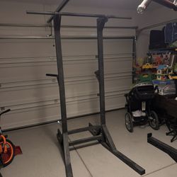 Push-up/Pull-up/Dip Bar