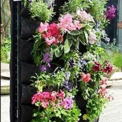 Wall hanging plant grow bag