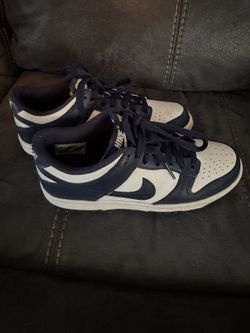 Nike Dunk Low Big Kid