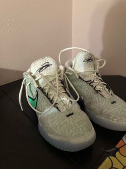 Nike Zoom LeBron NXXT Genisus Men’s Size 10