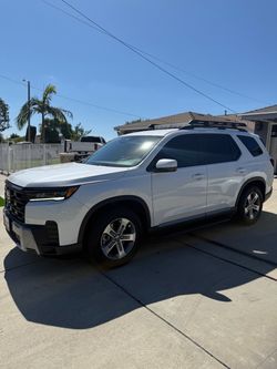 Tint for sale
