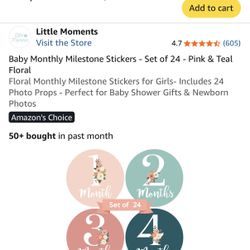 Baby Monthly Milestone Stickers