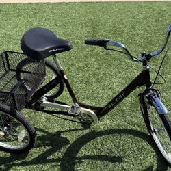 Raleigh Adult Tricycle 