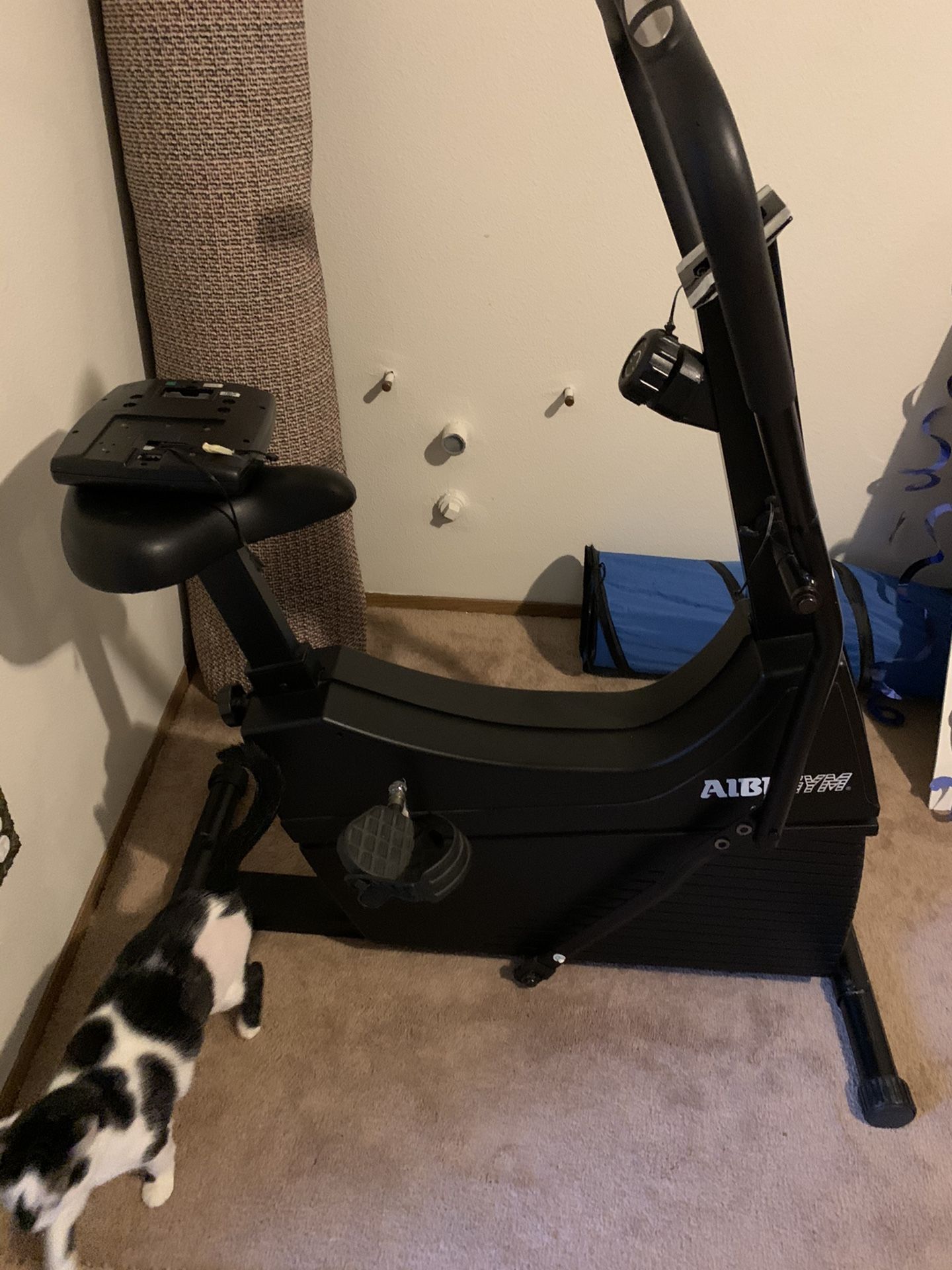 Aibi exercise Bike