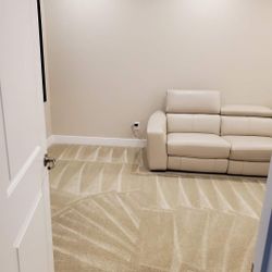 Sofa And Carpet Cleaner 