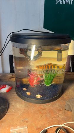 Fish Tank with Filter Lights Gravel