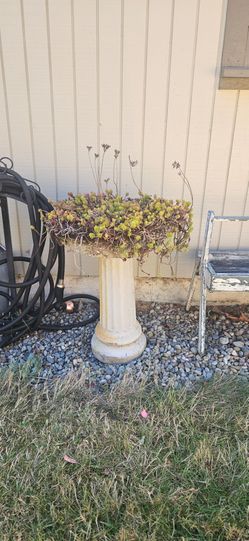 Concrete Pedestal Bird Bath Planter