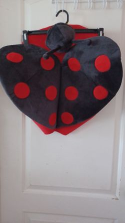 Lady  bug hat w top size Large kids