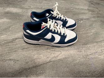 Nike Dunk sneakers Size 9