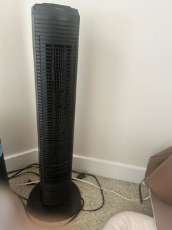 Black fan