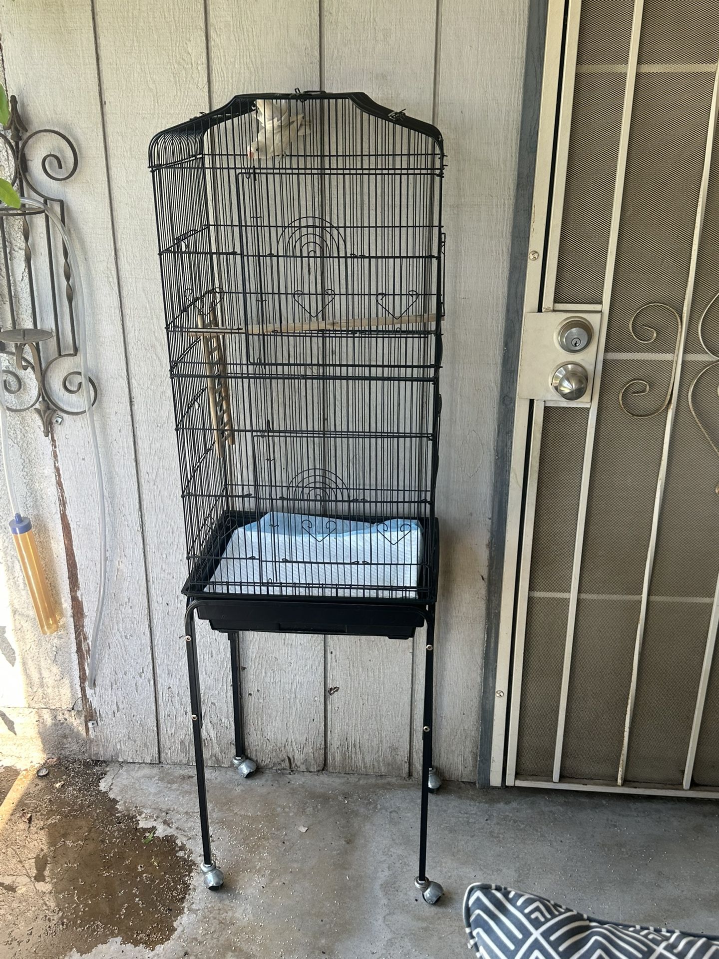 birds cage